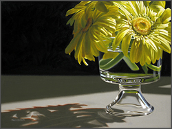 Gerbera Daisies By The Window - Nance Danforth Paintings